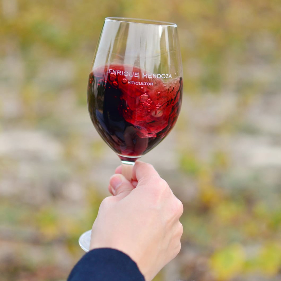 em-movimiento EM - Cosas divertidas en enoturismo