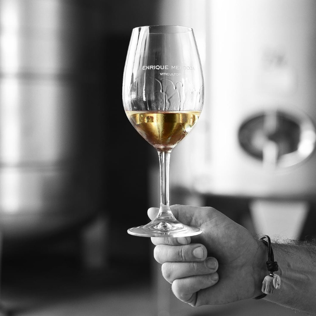 em-2022-05 12 Propósitos