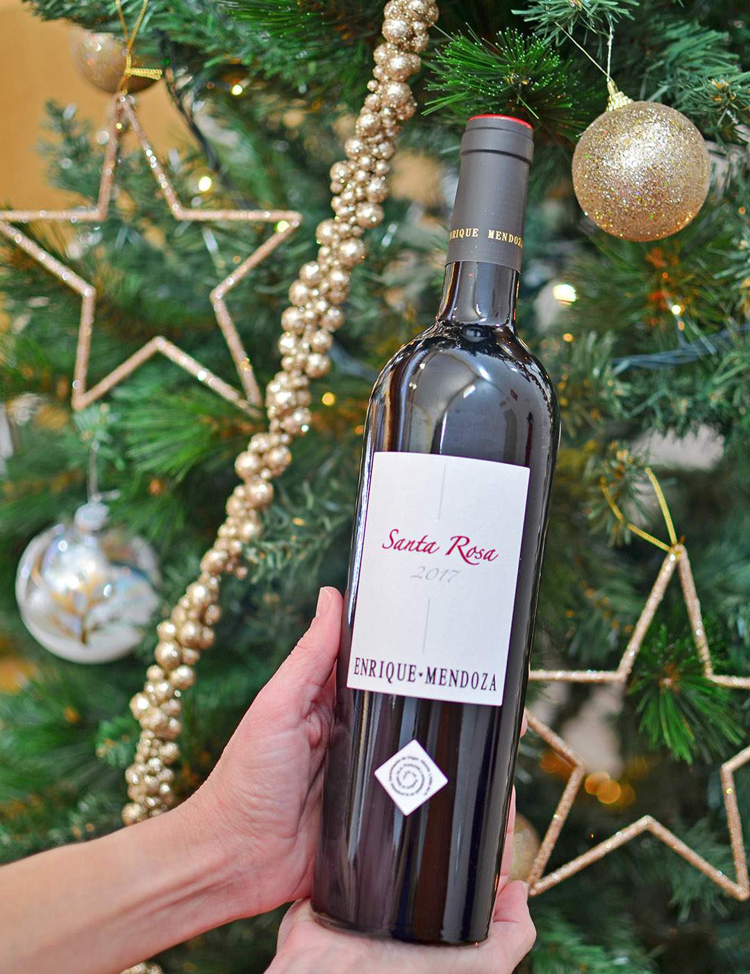 em-navidad-05 EM - Diversión en familia