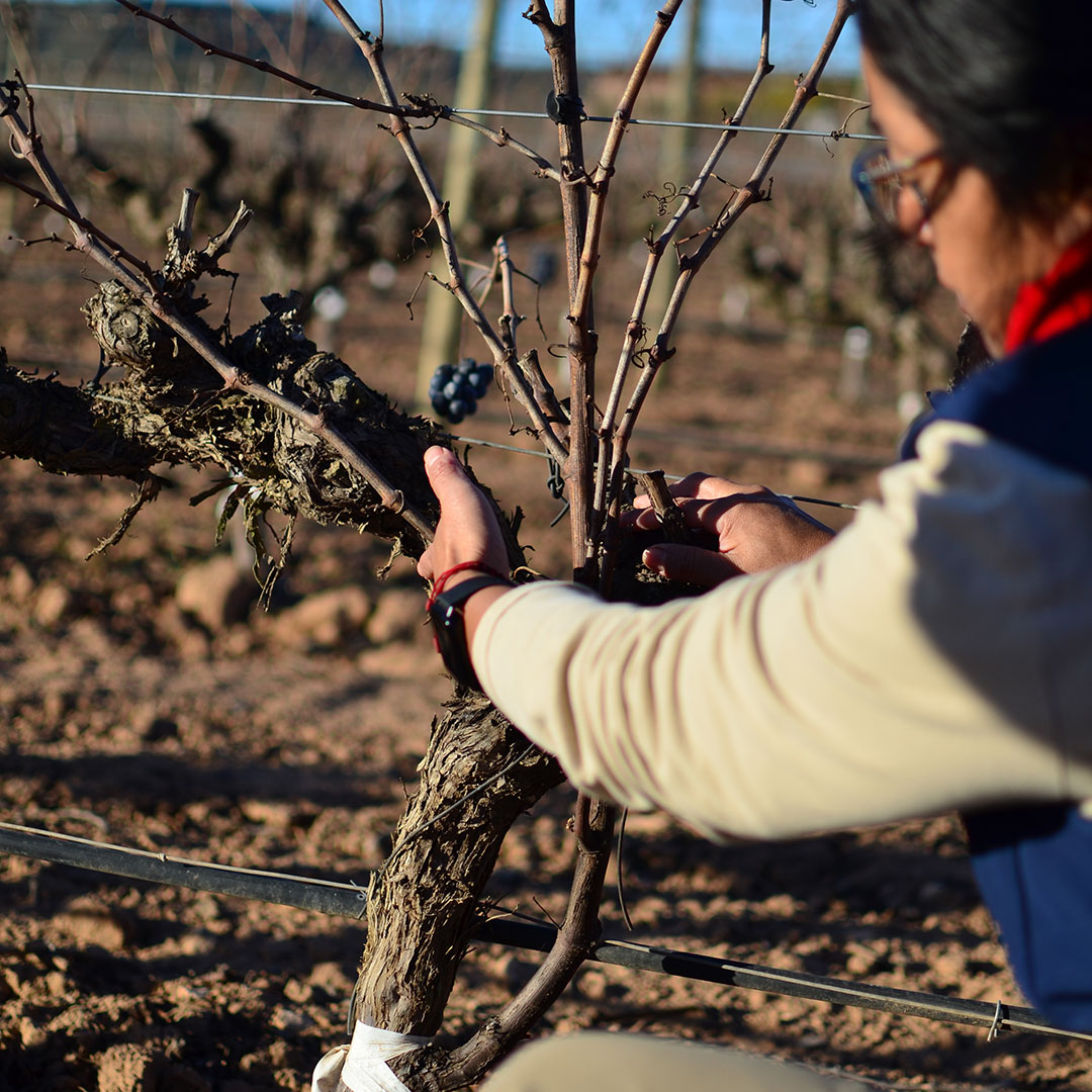 invierno-tiempo-de-reposo-y-reflexion-05 El invierno, tiempo de reposo y reflexión
